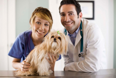 Clínica Veterinaria Gabriel Usera veterinarios con un perro